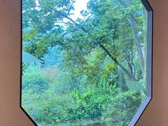 -中国茶叶博物馆(双峰馆区)