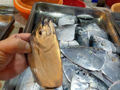 -鸿港海鲜批发市场