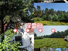 -日照海滨国家森林公园