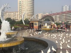 -海河外滩公园