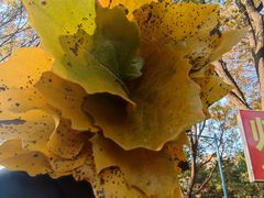 -森林公园(尖草坪区)