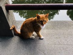 -汇龙潭