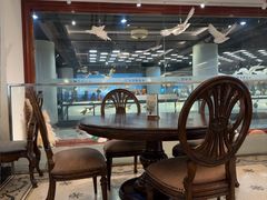 -1868 Café(上海自然博物馆店)