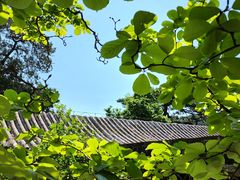-潭柘寺景区