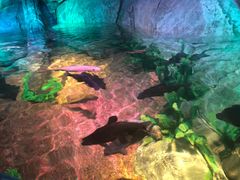 -沈阳海洋探索中心