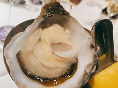 -Oyster Talks 四度蚝法餐厅
