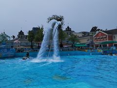 -海合安成都极地海洋公园
