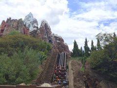 -奥兰多迪士尼动物王国乐园