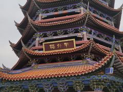 -铁山坪森林公园