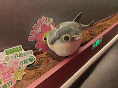 -肆月河豚·新淮扬菜·烤鸭(中关村店)