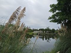 -眉山湿地公园(东坡区)