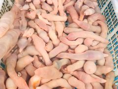 -富临港·蒸汽海鲜·手抓海鲜·炒菜(栈桥店)