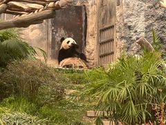 -石排湾郊野公园
