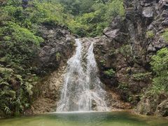-南海湾森林生态园