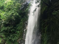 -莫里热带雨林景区
