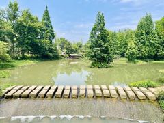 -桤木河湿地公园