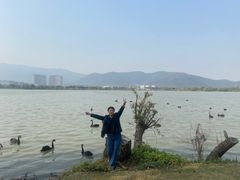 -长兴太湖图影湿地文化园
