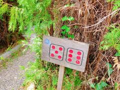 -亲兄弟真人CS团建拓展基地