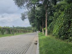 -北京张裕爱斐堡酒庄