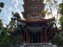 -深圳仙湖植物园