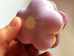 半熟花花马卡龙柚子樱花味-好利来(幸福一家店)