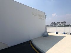 -Blue Concept Cafe&Farm·關於藍