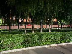-莲花池公园