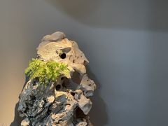 -绿茶餐厅(二七万达店)