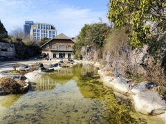 -上海吴淞炮台湾国家湿地公园