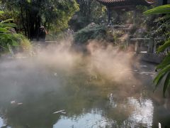 -广州兰圃