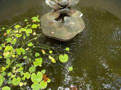 -比利时钻石文化交流中心(岳阳路店)