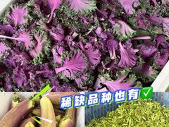 -细村农贸综合市场