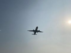 -空港花田景区