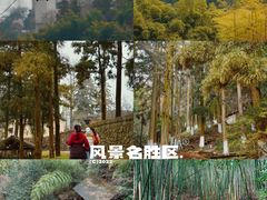 -莫干山风景区