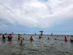 -碧海金沙