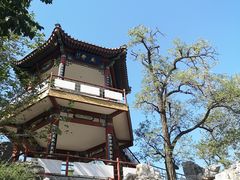 -莲花池公园