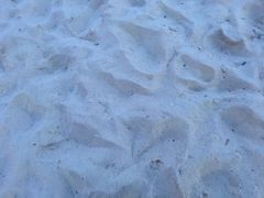 -玫瑰海岸文化旅游度假区
