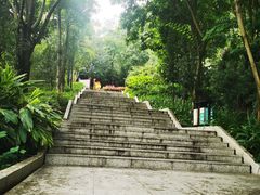 -神光山国家森林公园