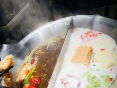 -湊湊火锅·茶憩(石家庄万象城店)