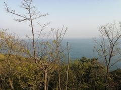 -燕窝岭