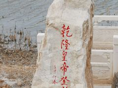 -桃花堤公园