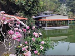 -桃园美食(水库路店)