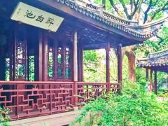 -上海醉白池公园