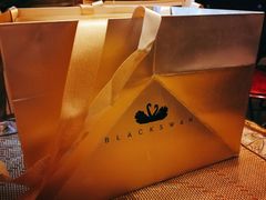 -BLACKSWAN黑天鹅(环球店)