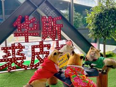 -肃宁华斯国际裘皮城