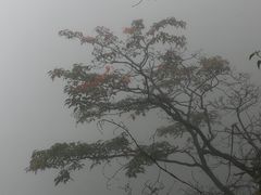 -陕西省红河谷森林公园