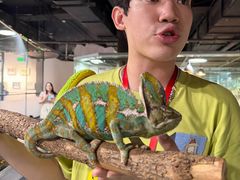 -上海大自然野生昆虫馆(东方明珠·爬宠昆虫探索中心)