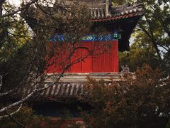 -大钟寺古钟博物馆
