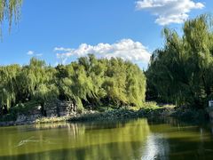 -三忘湖 SWANSEEN(柳荫公园店)