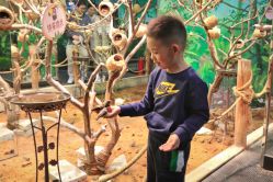 -Zoolung Zoolung动物主题公园(海信广场店)